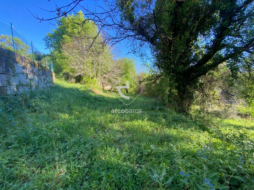 Terreno para Venda em Souto e Tabaçô Foto 8