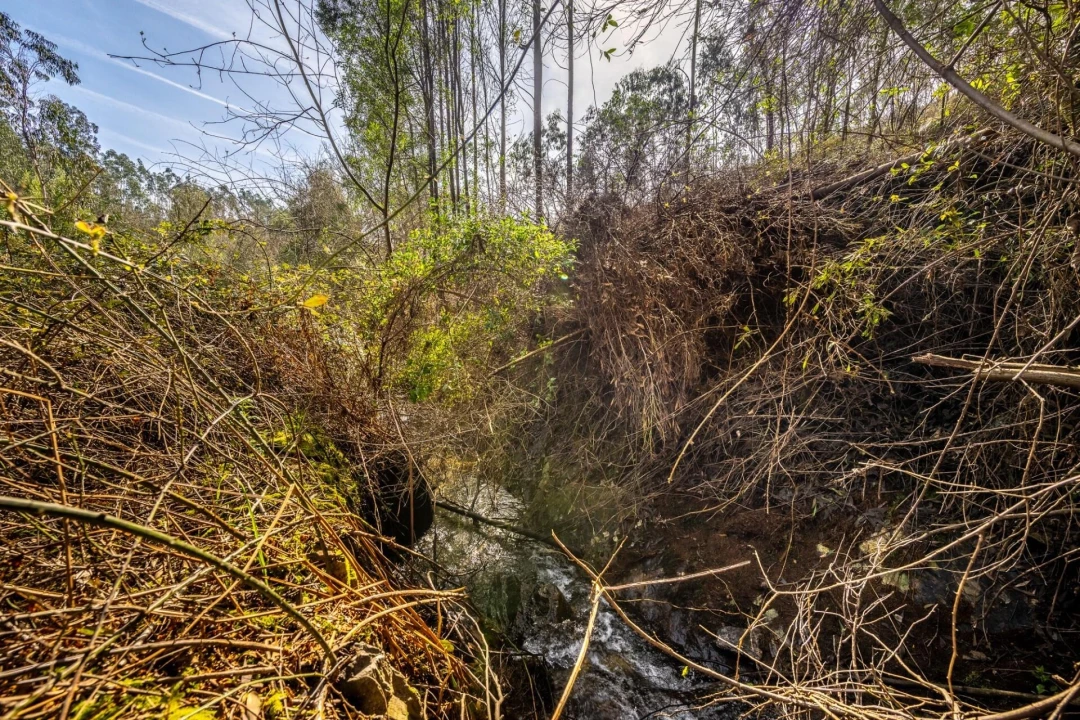 Terreno para Venda em Aguiar de Sousa Foto 6