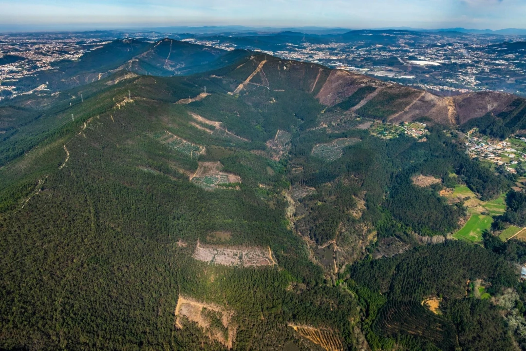 Terreno para Venda em Aguiar de Sousa Foto 7