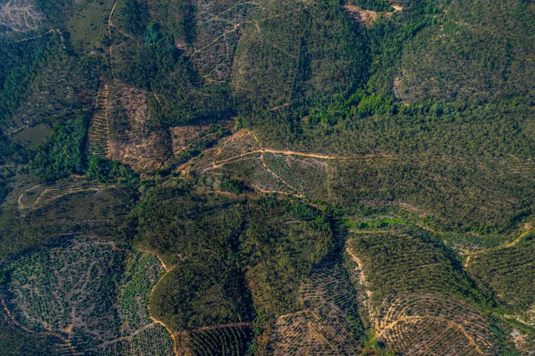 Terreno para Venda em Aguiar de Sousa Foto 10