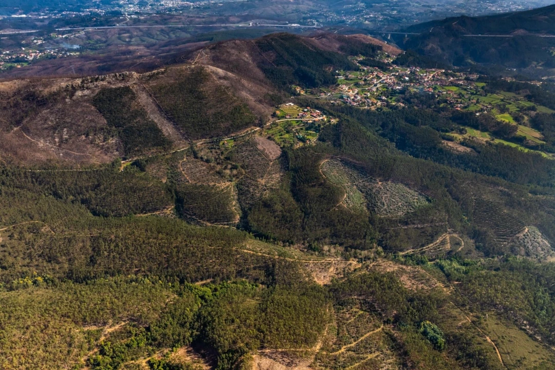 Terreno para Venda em Aguiar de Sousa Foto 13