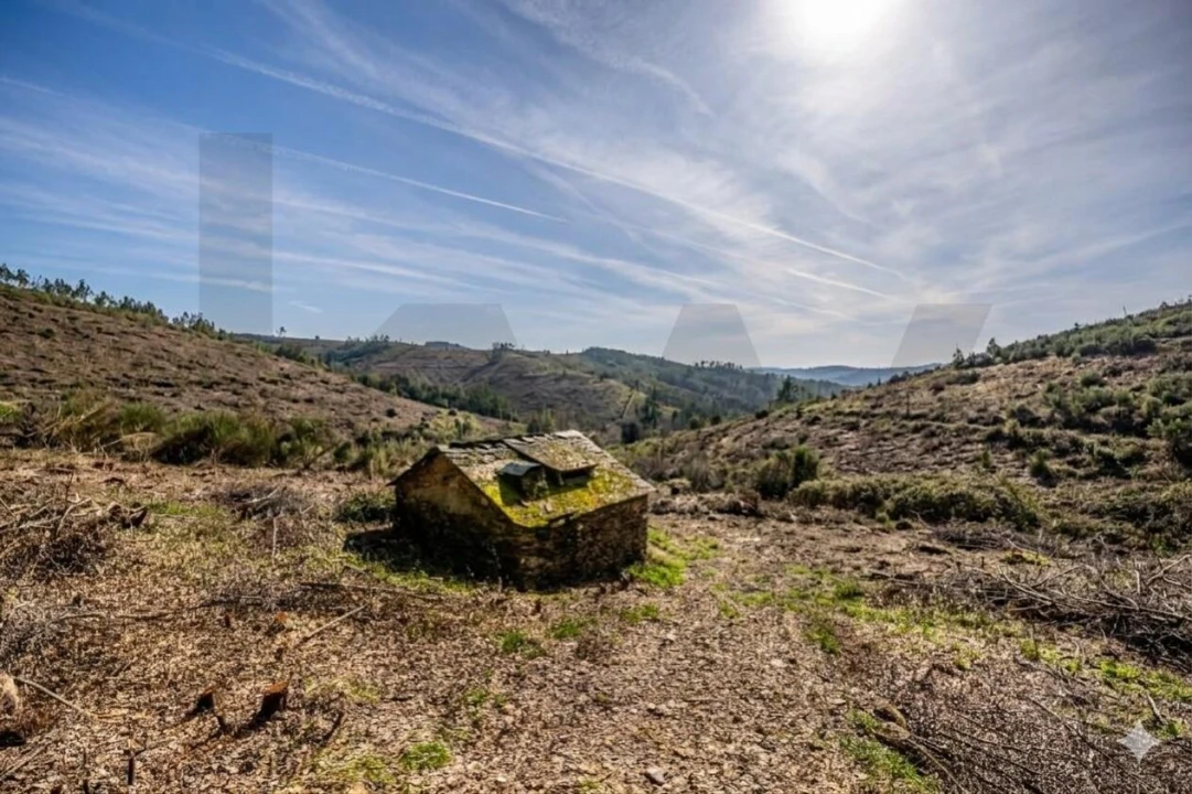 Terreno para Venda em Aguiar de Sousa Foto 5