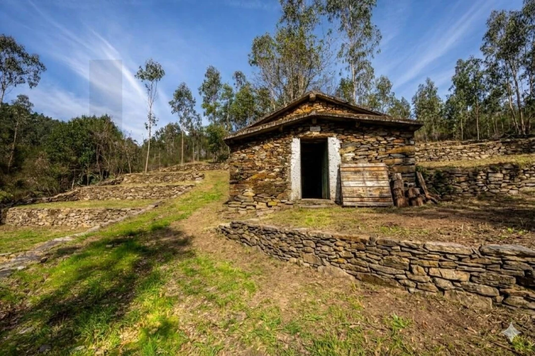 Terreno para Venda em Aguiar de Sousa Foto 1