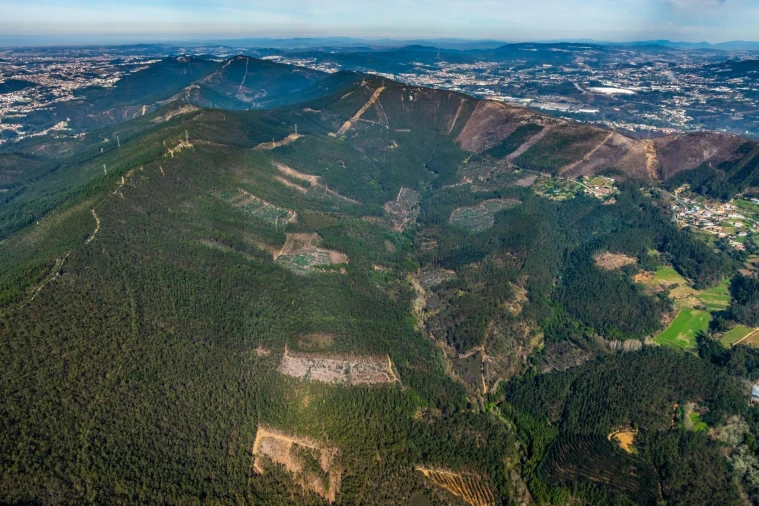 Terreno para Venda em Aguiar de Sousa Foto 7