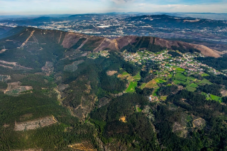 Terreno para Venda em Aguiar de Sousa Foto 8