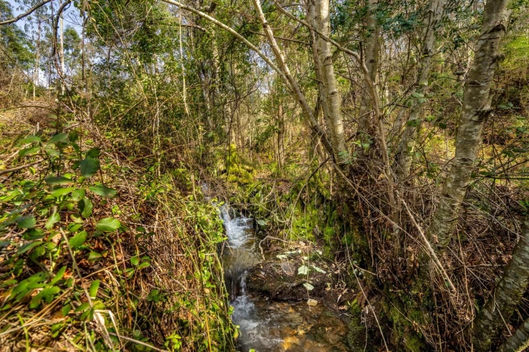 Terreno para Venda em Aguiar de Sousa Foto 9