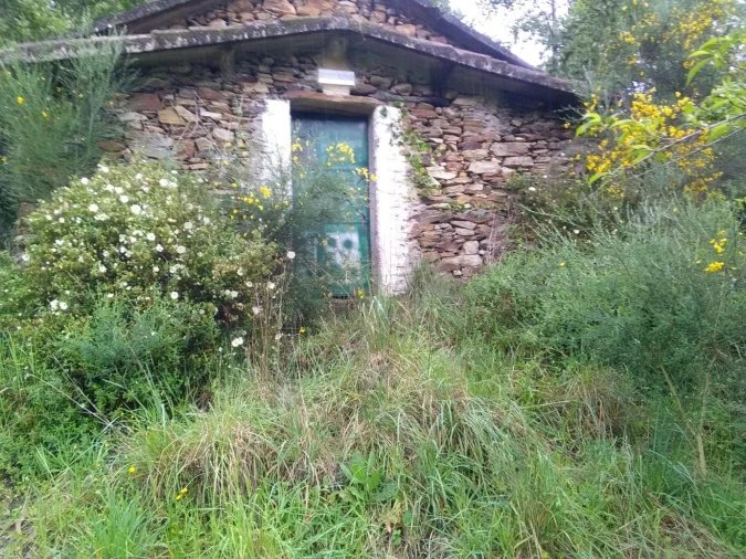 Terreno para Venda em Aguiar de Sousa Foto 1