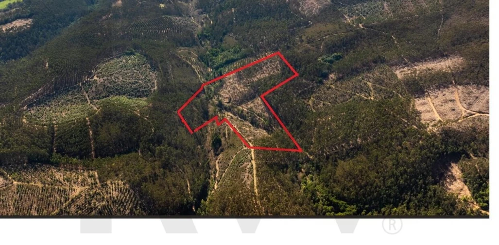 Terreno para Venda em Aguiar de Sousa Foto 3