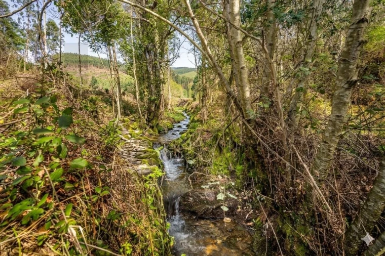 Terreno para Venda em Aguiar de Sousa Foto 10