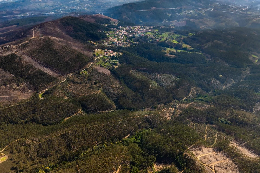 Terreno para Venda em Aguiar de Sousa Foto 12