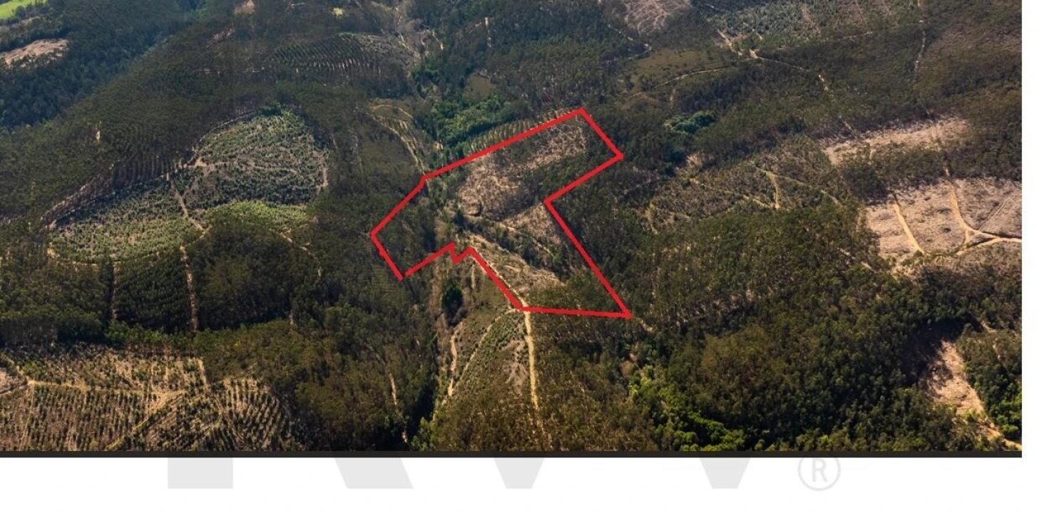 Terreno para Venda em Aguiar de Sousa Foto 3