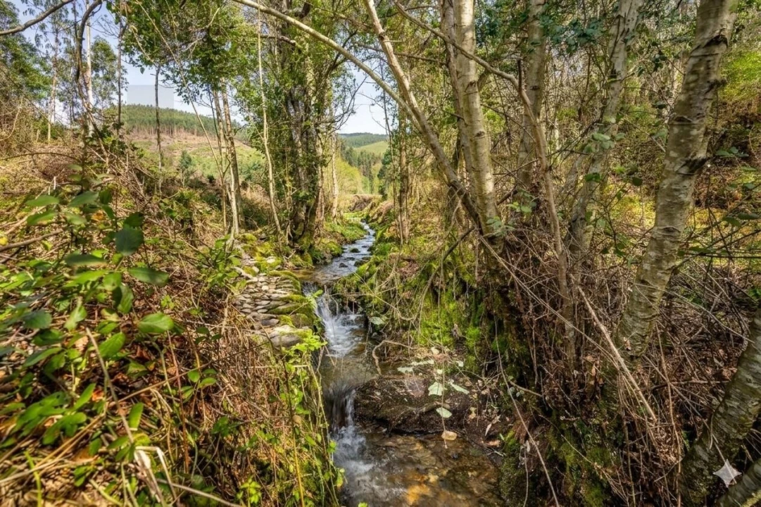 Terreno para Venda em Aguiar de Sousa Foto 10