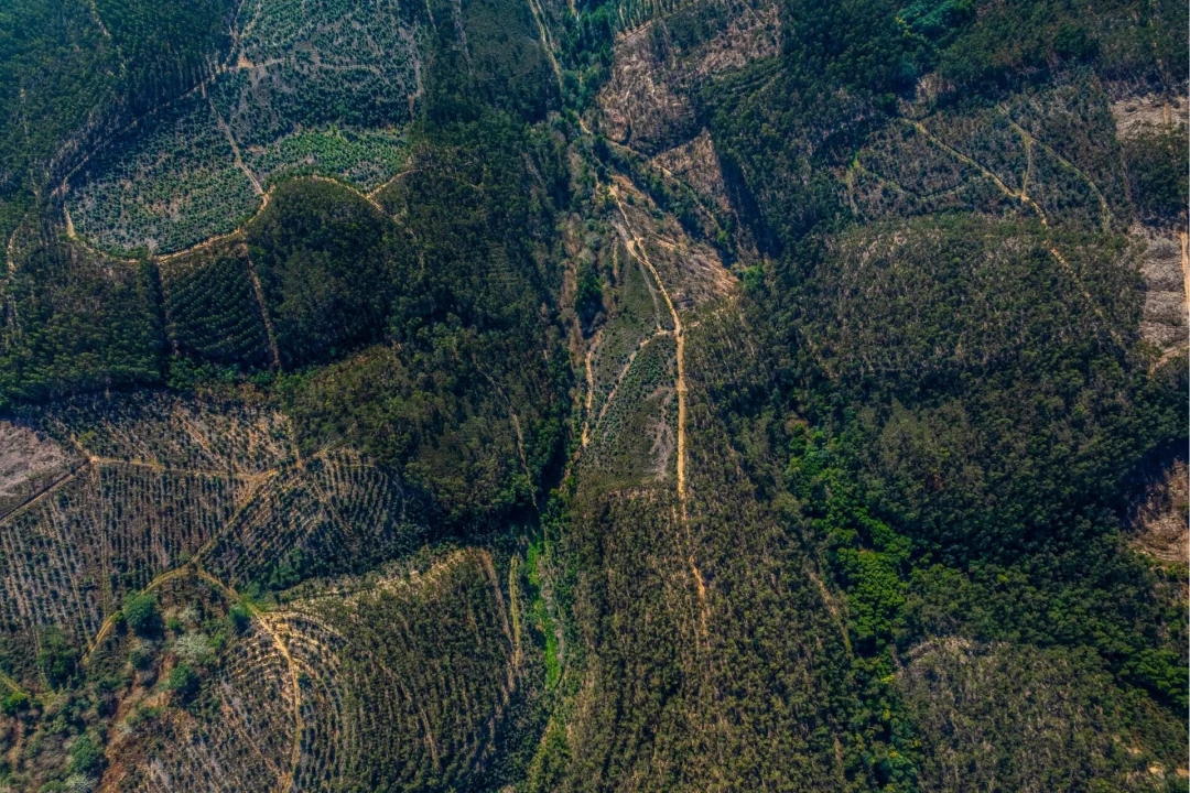Terreno para Venda em Aguiar de Sousa Foto 11