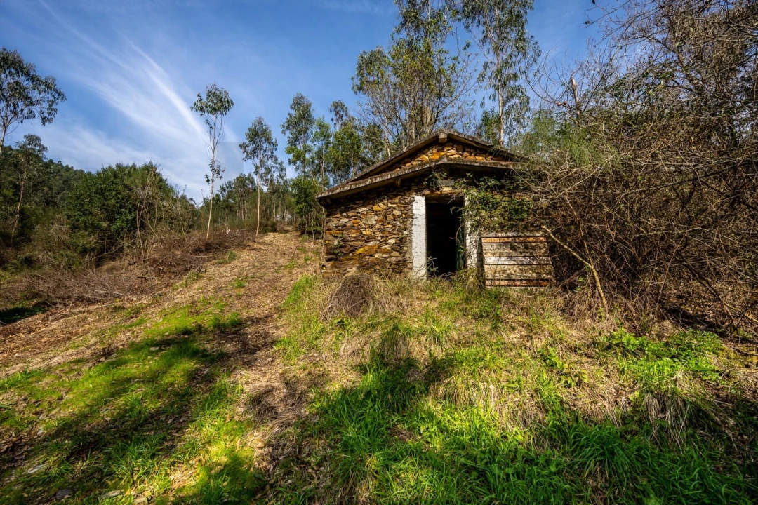Terreno para Venda em Aguiar de Sousa Foto 4