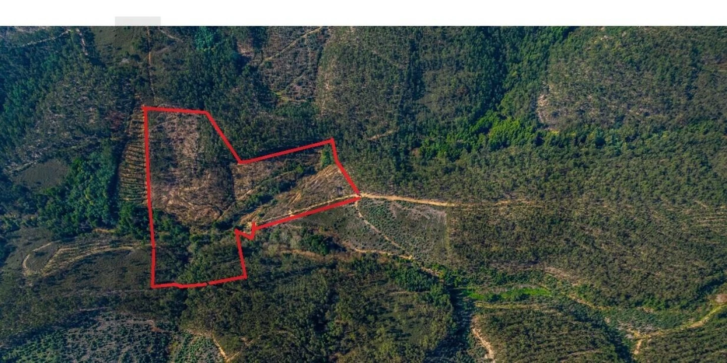 Terreno para Venda em Aguiar de Sousa Foto 2