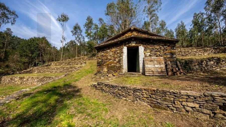 Terreno para Venda em Aguiar de Sousa