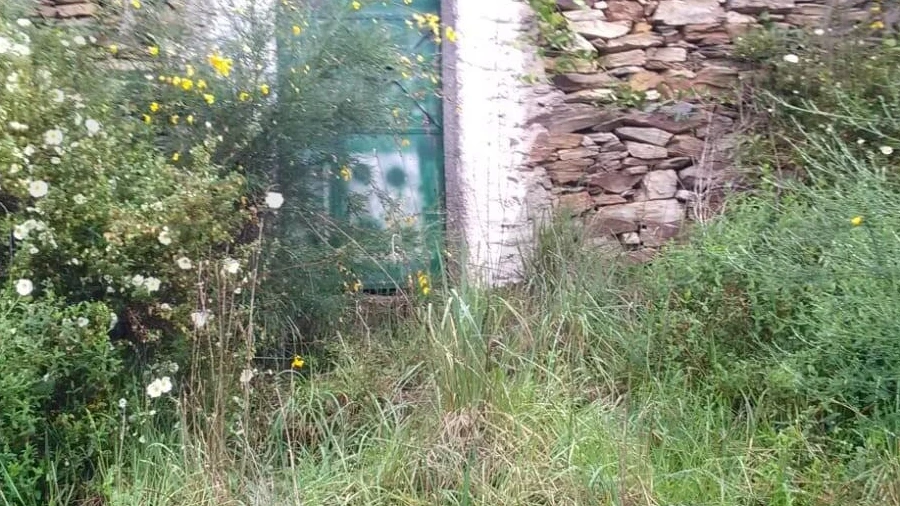 Terreno para Venda em Aguiar de Sousa