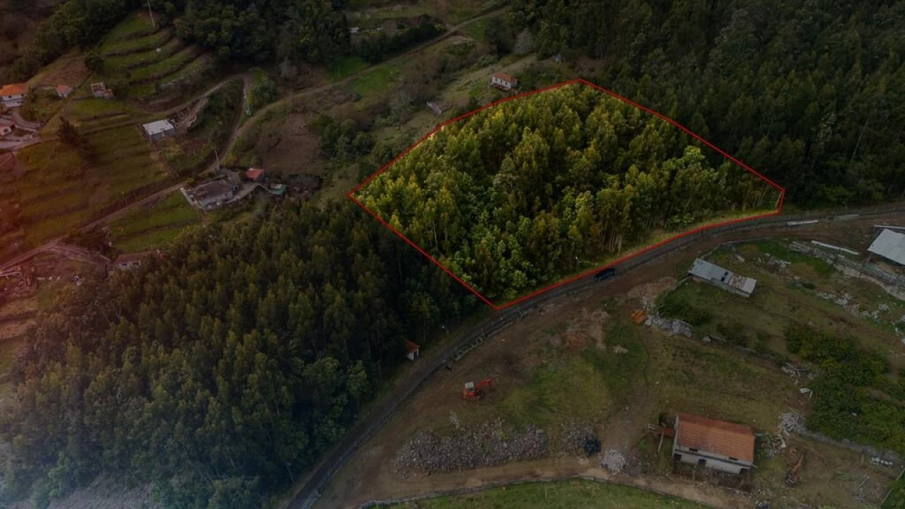 Terreno para Venda em Camacha Foto 3