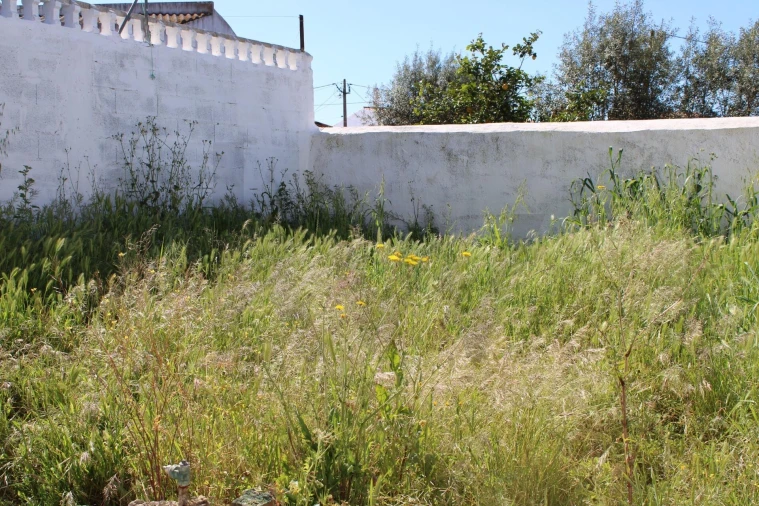 Terreno para Venda em Aldeia dos Fernandes Foto 4