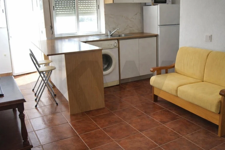 Apartamento T2 para Venda em São Miguel do Rio Torto e Rossio Ao Sul do Tejo Foto 1