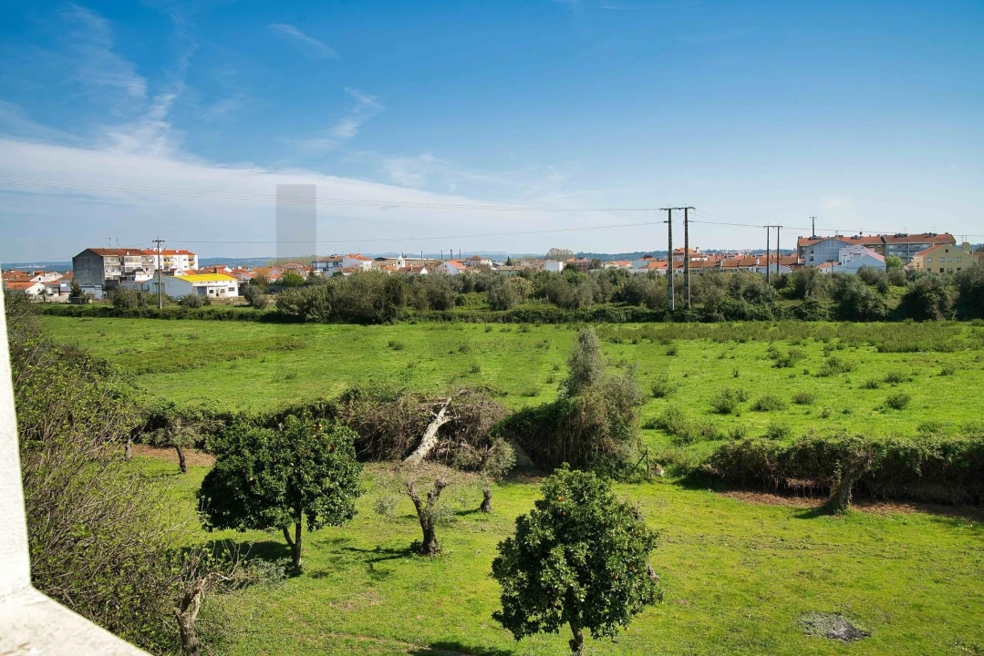 Apartamento T2 para Venda em São Miguel do Rio Torto e Rossio Ao Sul do Tejo Foto 3