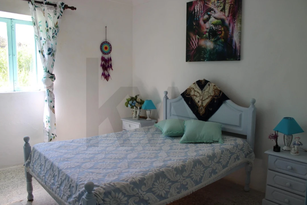 Quinta T3 para Venda em Almodôvar e Graça dos Padrões Foto 15