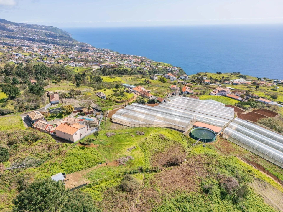 Terreno para Venda em Prazeres Foto 15