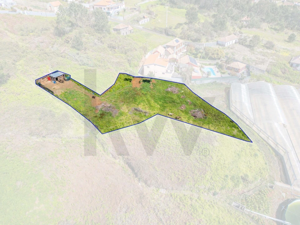 Terreno para Venda em Prazeres Foto 14