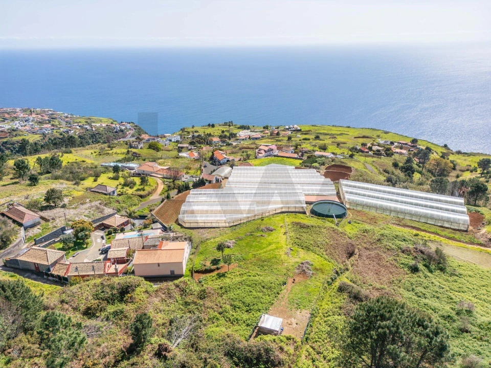 Terreno para Venda em Prazeres Foto 16