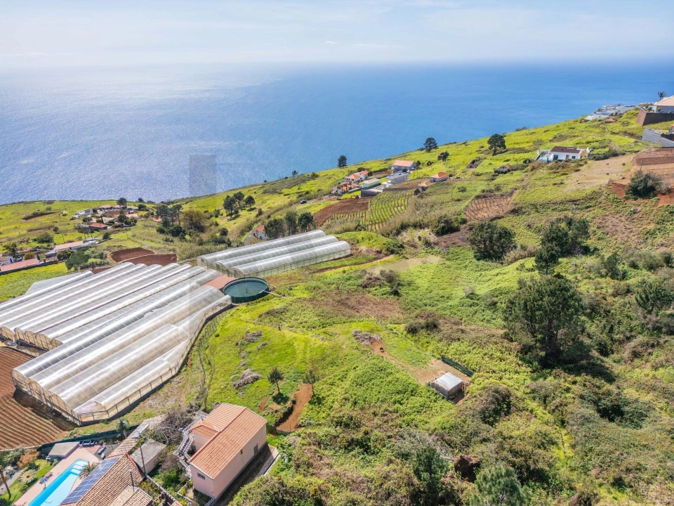 Terreno para Venda em Prazeres Foto 18