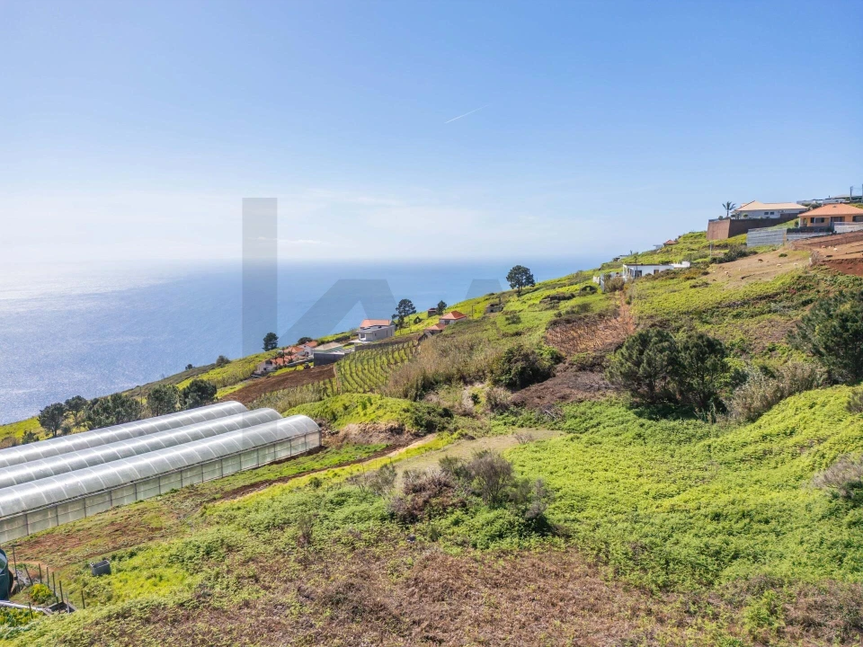 Terreno para Venda em Prazeres Foto 8