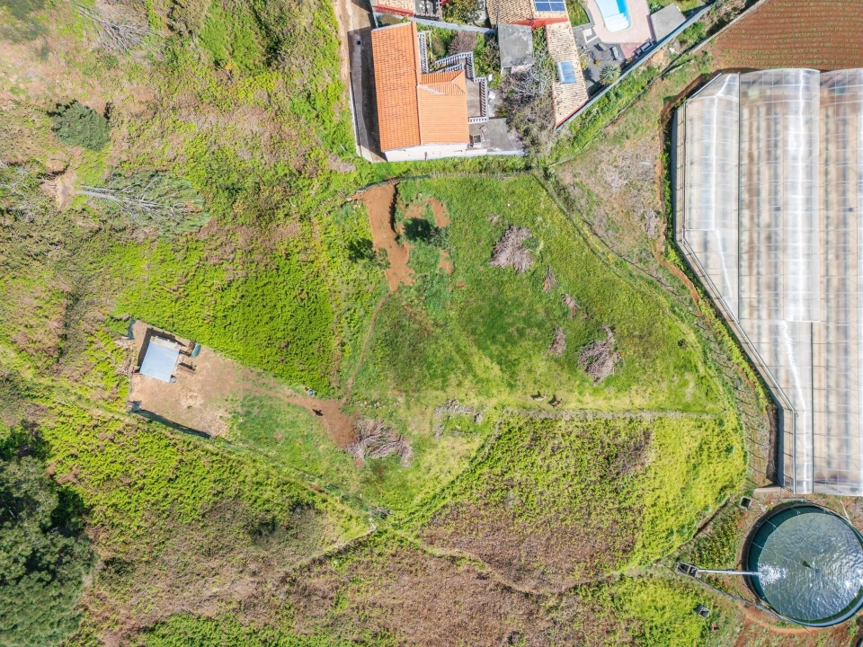 Terreno para Venda em Prazeres Foto 11