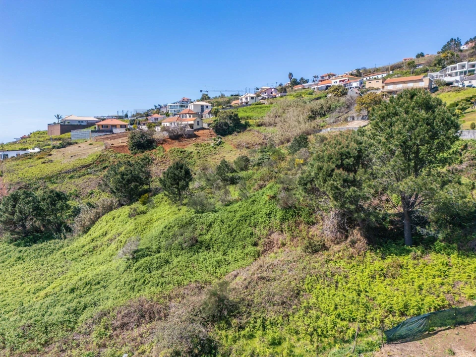 Terreno para Venda em Prazeres Foto 9