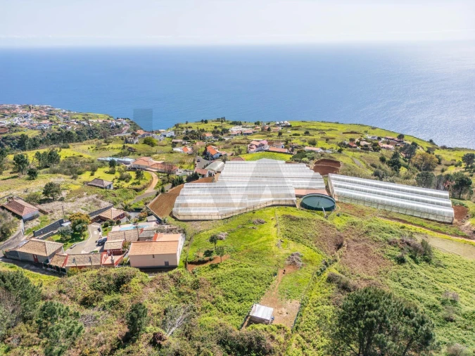 Terreno para Venda em Prazeres Foto 16