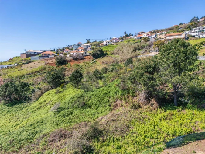Terreno para Venda em Prazeres Foto 9