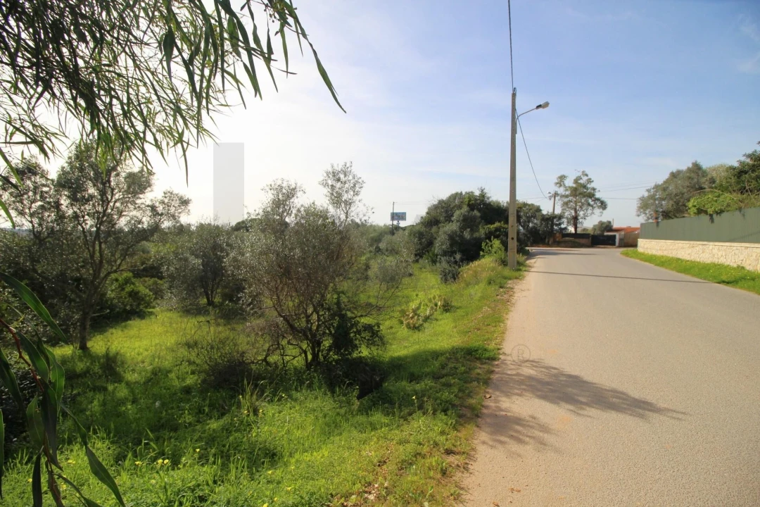 Terreno para Venda em Lagoa e Carvoeiro Foto 17