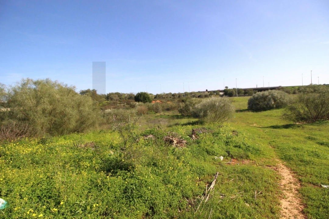 Terreno para Venda em Lagoa e Carvoeiro Foto 7