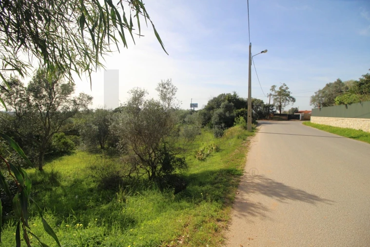 Terreno para Venda em Lagoa e Carvoeiro Foto 17