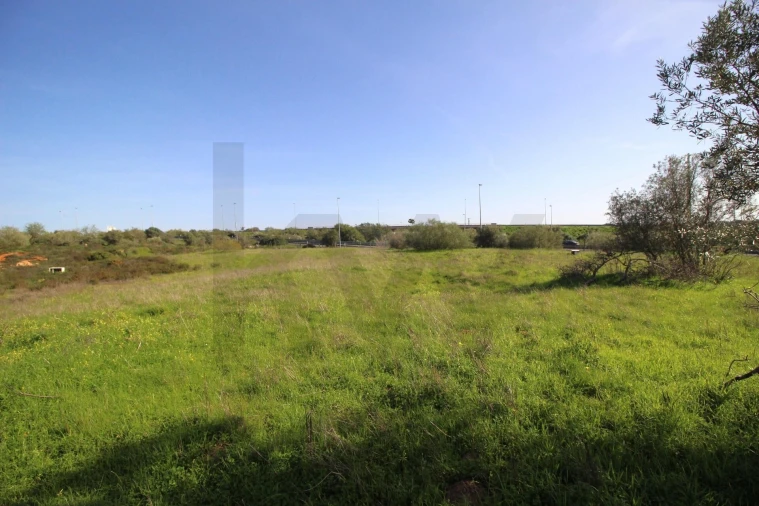 Terreno para Venda em Lagoa e Carvoeiro Foto 12