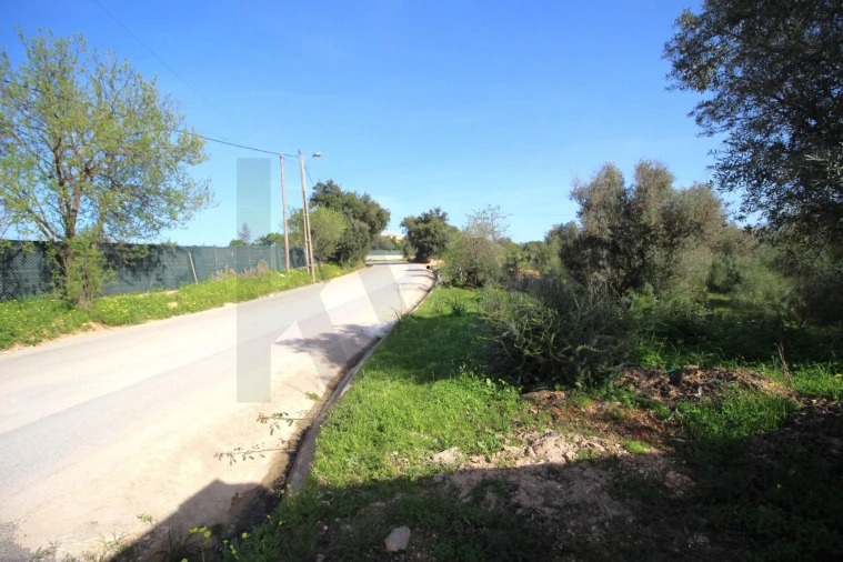 Terreno para Venda em Lagoa e Carvoeiro Foto 2