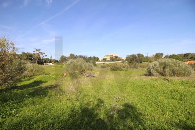Terreno para Venda em Lagoa e Carvoeiro Foto 8