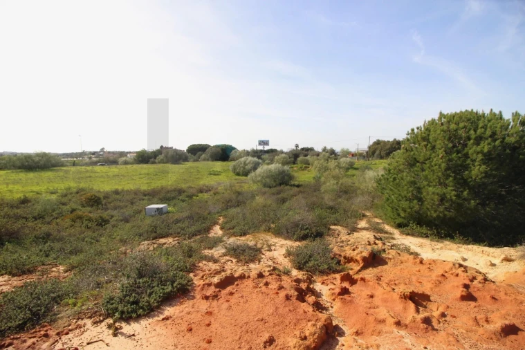 Terreno para Venda em Lagoa e Carvoeiro Foto 11