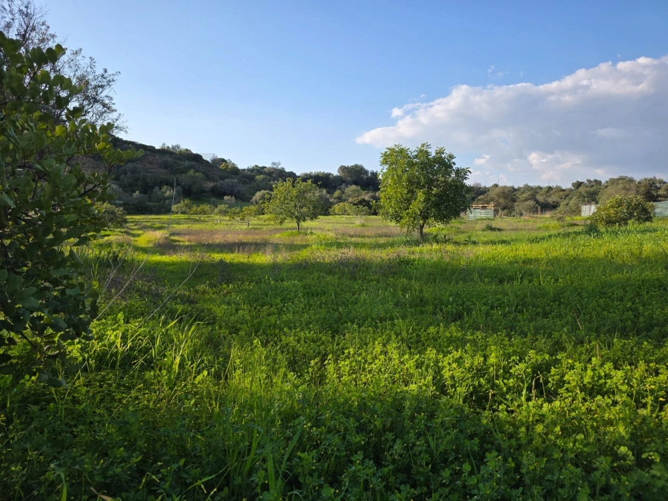 Terreno para Venda em Porches Foto 23