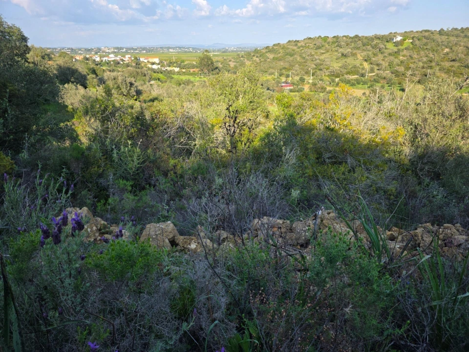 Terreno para Venda em Porches Foto 16