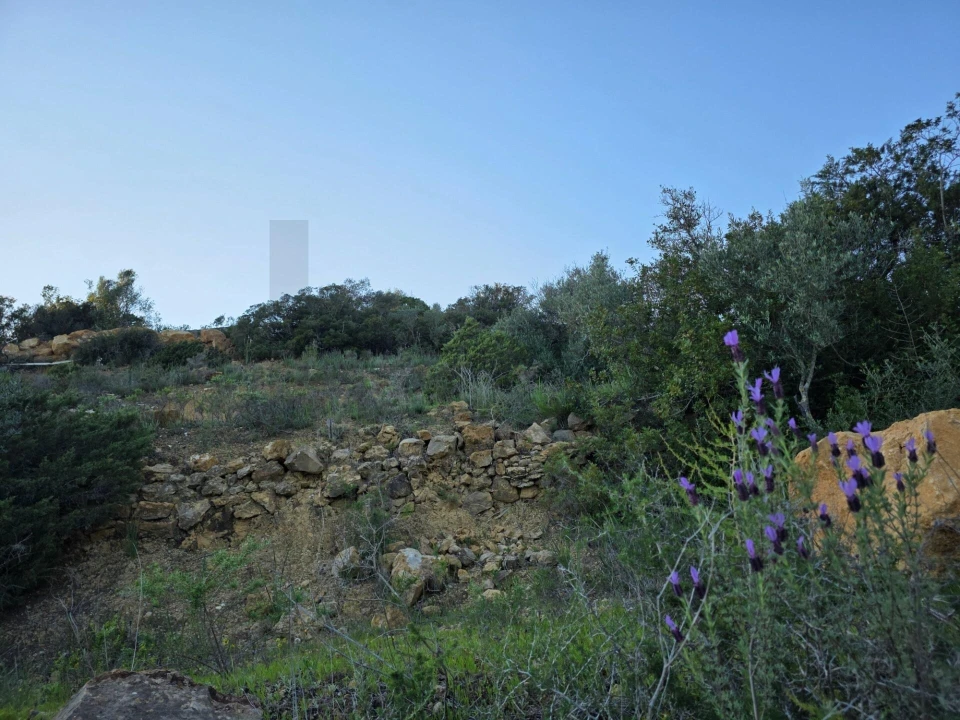 Terreno para Venda em Porches Foto 17