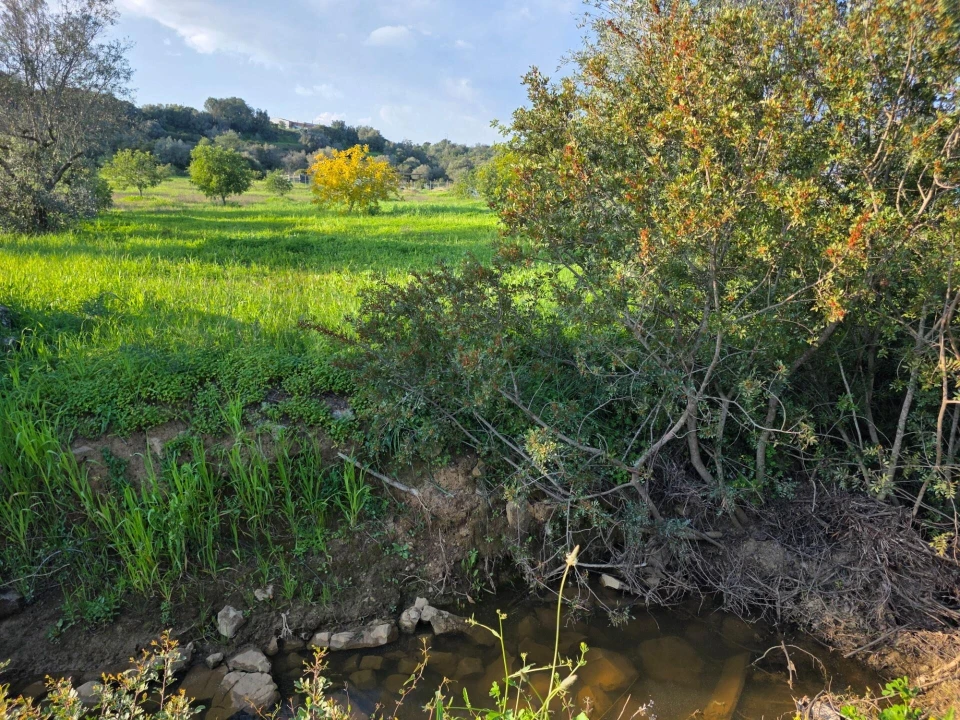 Terreno para Venda em Porches Foto 28