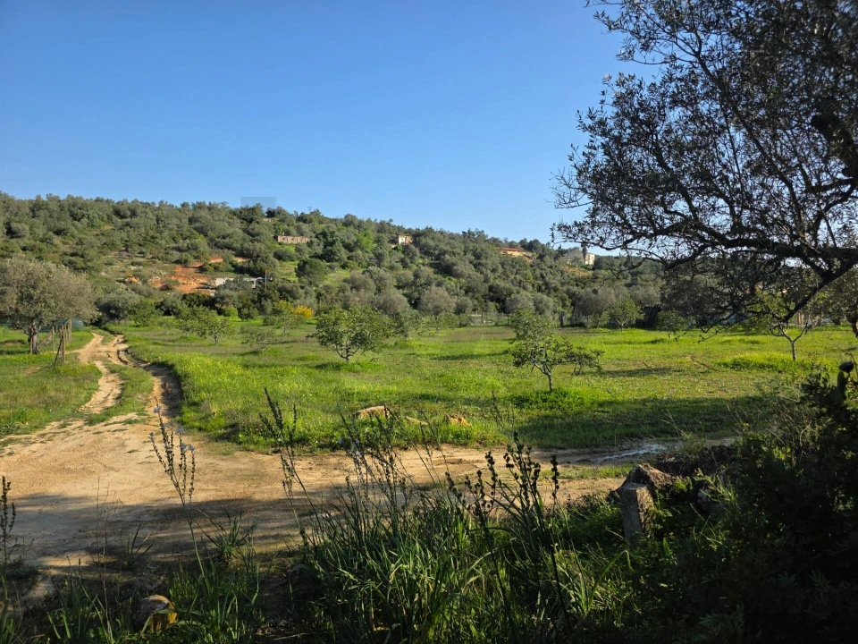 Terreno para Venda em Porches Foto 12