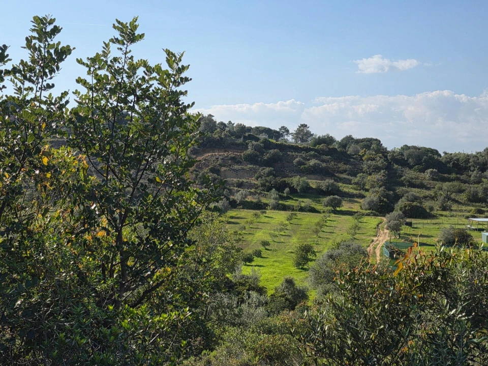 Terreno para Venda em Porches Foto 1