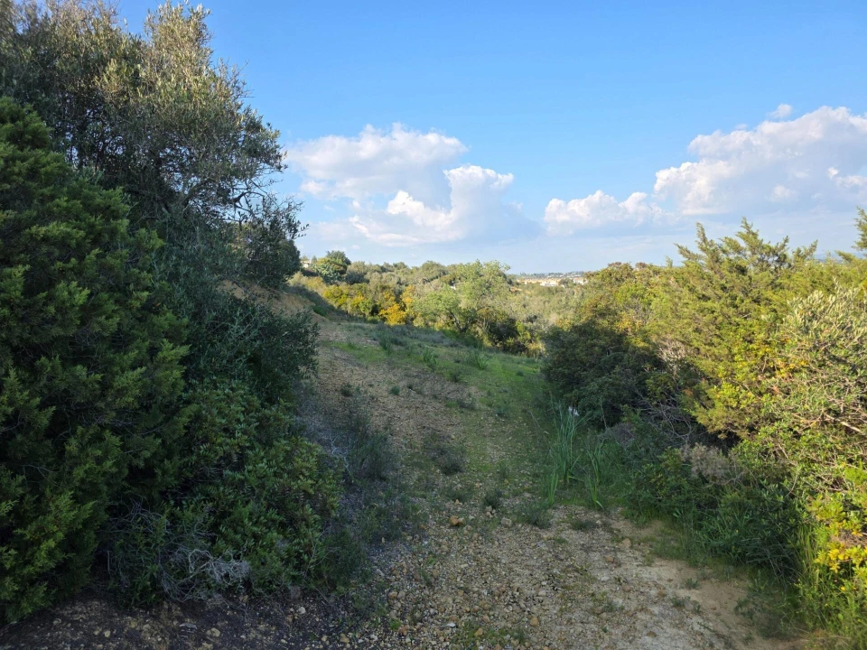 Terreno para Venda em Porches Foto 13