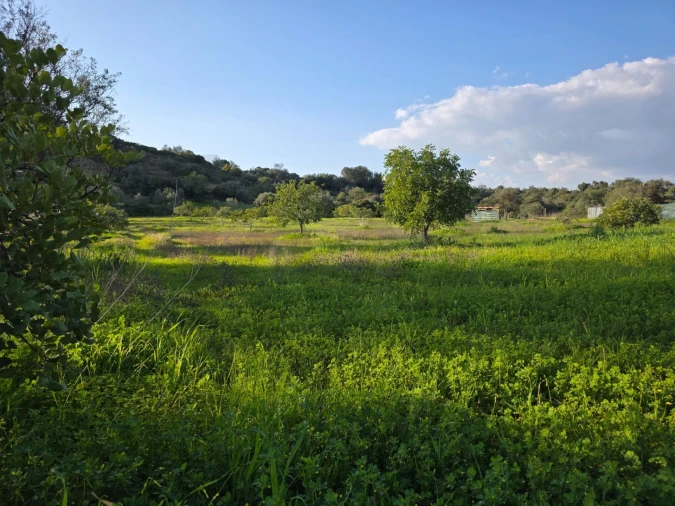 Terreno para Venda em Porches Foto 23